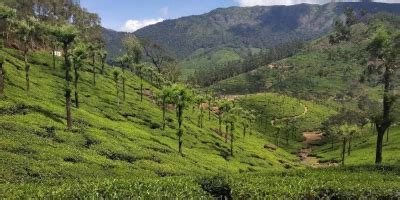 Taxi Services in Tirunelveli - Online Cab Booking