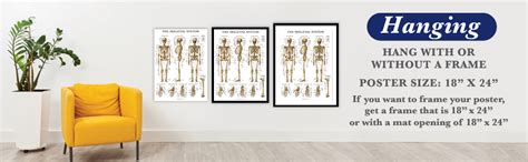 Palace Learning Skeletal System Anatomical Chart Laminated Human ...