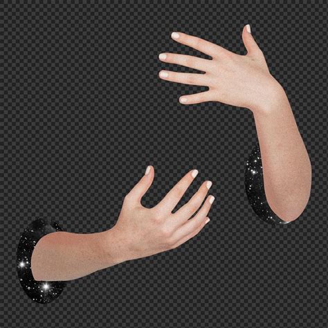 Arms reaching png sticker, transparent | Free PNG - rawpixel