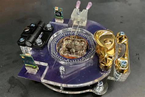 Computer Engineer Live Cells 的图像结果