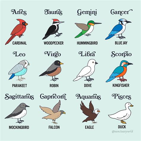 Zodiac Sign Bird - Zodiac Health Tips