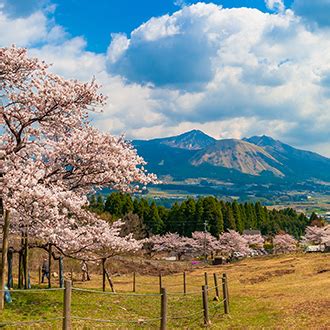 Minamiaso Hot Spring Village "BETTEI SOAN" | Official Site