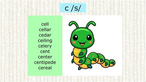Letter C / Soft C Words / Phonics / ce ci cy - YouTube