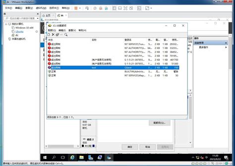 Windows File System Parent Process 的图像结果