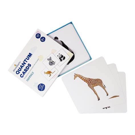 Mammals Quantum Cards | Flashcards for Kids Early Learning |Brainsmith