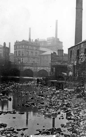 Searching Picture Sheffield