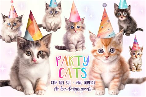 Cute Cat Birthday Clothes at Walter Graves blog