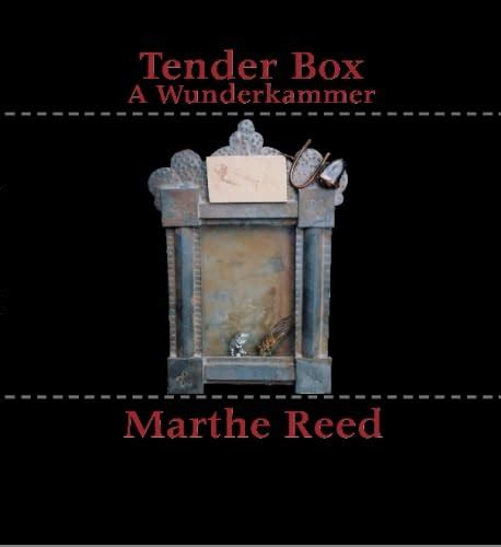Buy Tender Box: A Wunderkammer Book Online at Low Prices in India ...