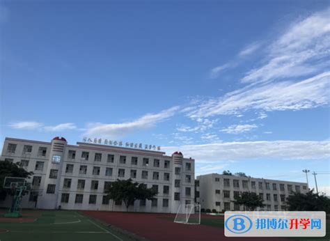 成都市青白江中学2023年网站网址