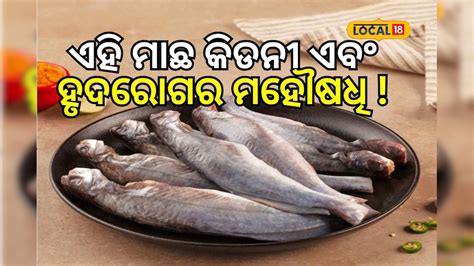 Fish:ଏହି ମାଛ କିଡନୀ ଏବଂ ହୃଦରୋଗର ମହୌଷଧି ! ଜାଣନ୍ତୁ... fish here are the ...