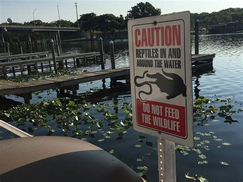 THE CASTAWAYS ON THE RIVER (2026) All You Need to Know BEFORE You Go ...