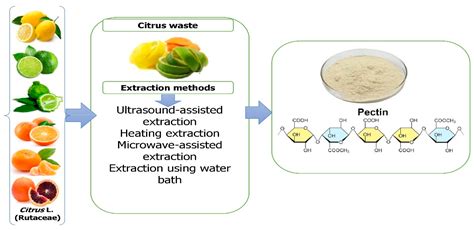 Citrus Waste | Encyclopedia MDPI
