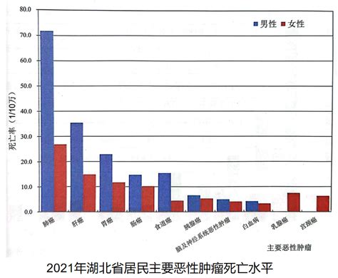 12张图表看全！中国最新癌症报告：每小时464人患癌，这些地区、年龄的人风险更高！|癌症|肺癌|结直肠癌_新浪新闻