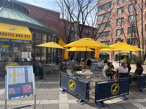 BARKING DOG HELL’S KITCHEN, New York City - Restaurant Reviews, Phone ...