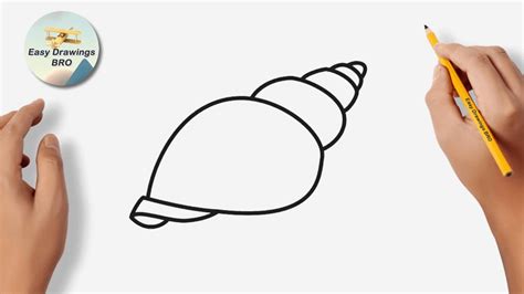 Image result for Easy Simple Shell Drawing