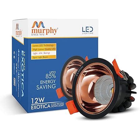 Buy Murphy 12W Black Body Rose Gold Finish COB Spot Down Light : Warm ...