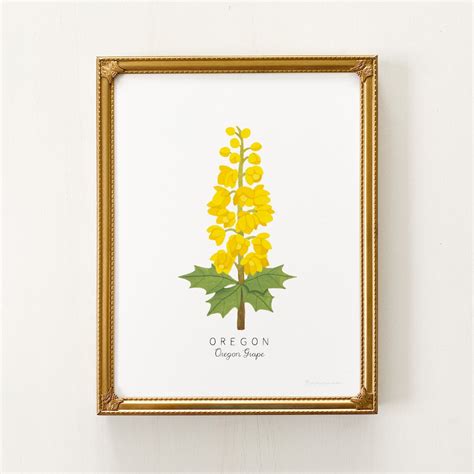 Oregon State Flower Print | CUSTOMIZABLE | Oregon State Flower Art ...