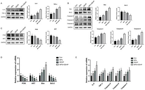 International Journal of Molecular Sciences | An Open Access Journal ...