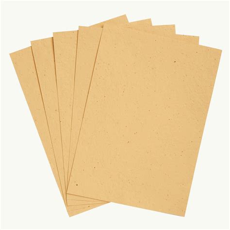 Plantable Seed Paper | Sustainable Handmade Cotton Paper with Seeds