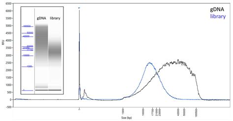 A High-Quality De novo Genome Assembly from a Single Mosquito Using ...