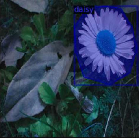 Image result for Rcnn Custom Object Detection Tutorial