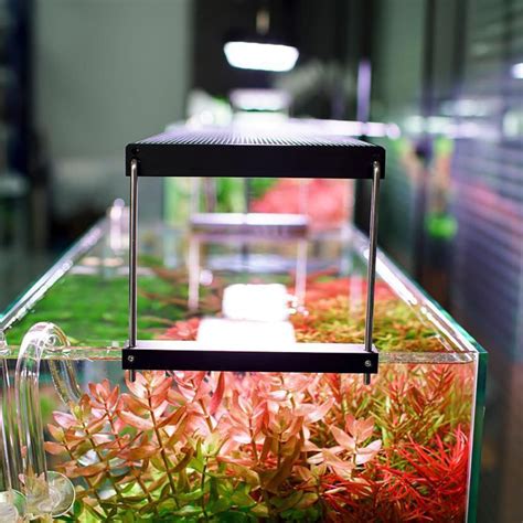 CHIHIROS LED WRGB II Slim-45 For Planted Aquarium – Bluetooth Edition ...