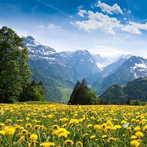 Image result for Springtime Wallpapers for PC