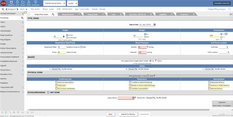 Vision Software 的图像结果