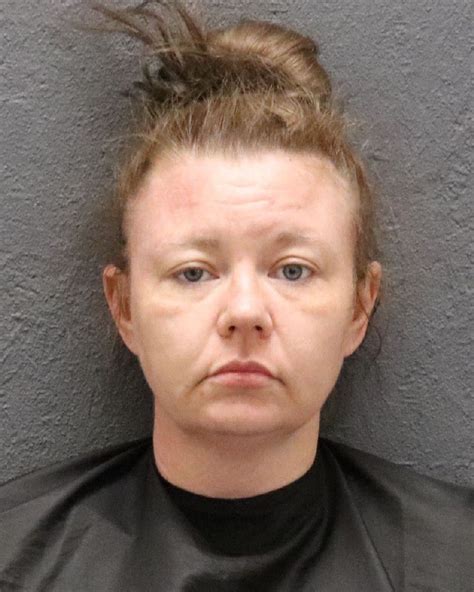 Oconee County Sheriff's Office Announces Additional Arrests in First ...