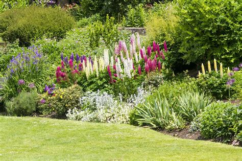 20 Flower Garden Border Design Ideas You Cannot Miss | SharonSable