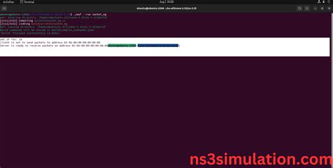 Network Socket Example 的图像结果