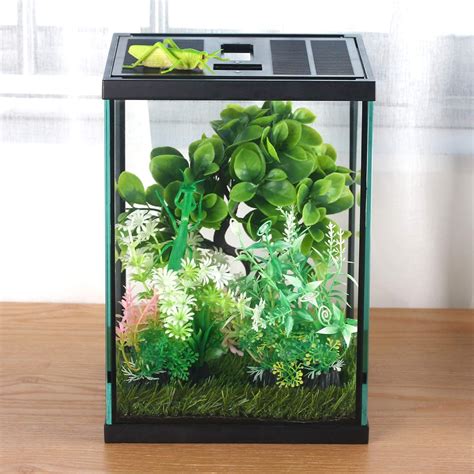 Buy crapelles Small Vertical Insect GlassTerrarium, Reptile Tank, for ...