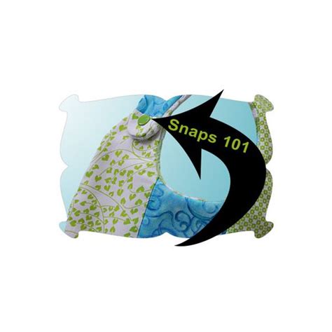 Snaps Tutorial 的图像结果