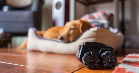 Moorebot Scout - Tiny AI-Powered Mobile Robot for Home Monitoring, Work ...