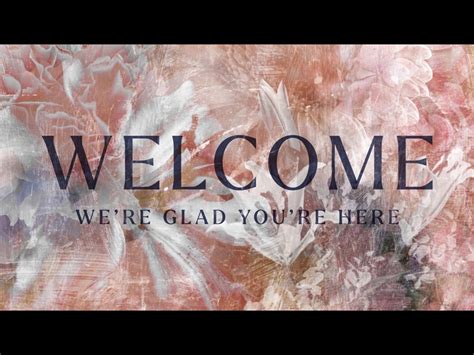 Welcome Loop Examples 的图像结果