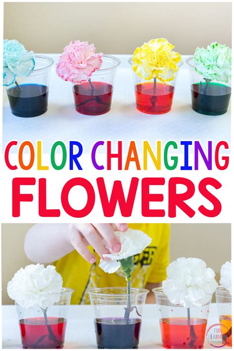 Image result for Color Changing Experiment