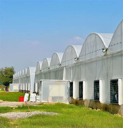 Fan & Pad Polyhouse - Fan And Pad Greenhouse With Rack And Pinion ...