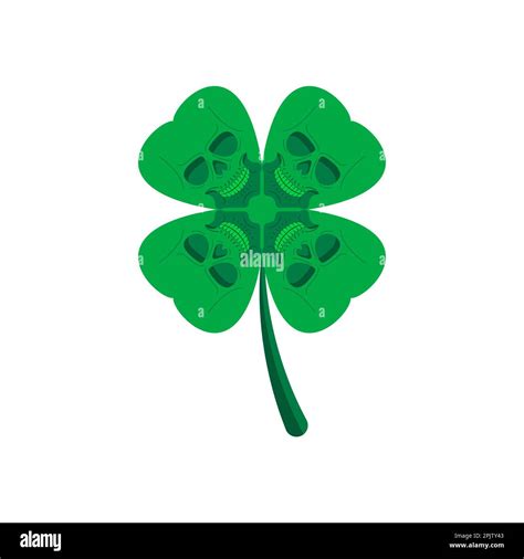 Skull clover. Four leaf clover for good luck with a skeleton Stock ...