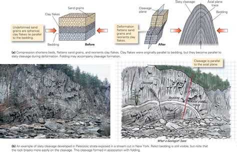 Learning Geology: Folds and Foliations