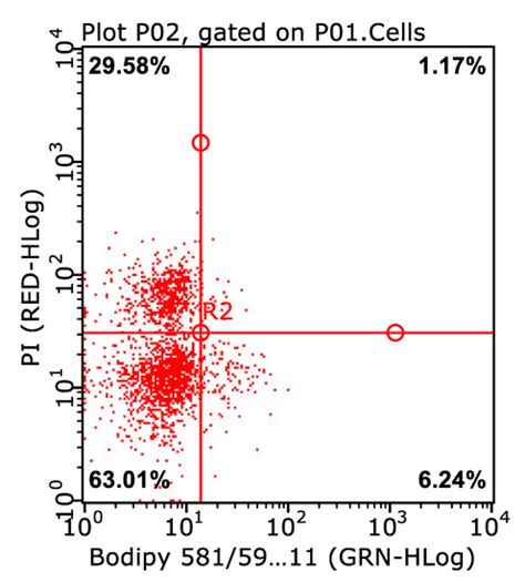 Dietary Supplementation with Linseed Oil Ethyl Esters Improves Sexual ...