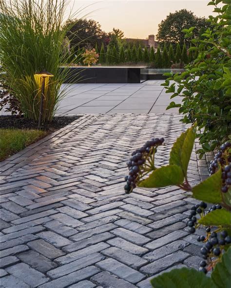 16 colorful shade garden pots plant lists – Artofit