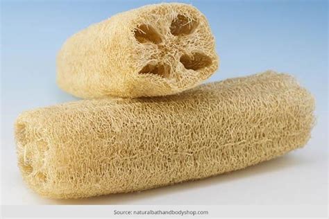 What Is A Loofah? Benefits And More