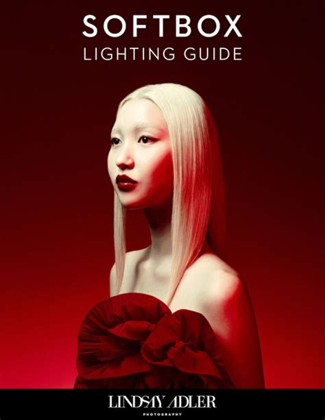 Image result for Softbox Lighting Tutorial