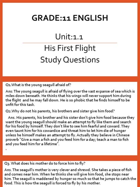 Image result for His First Flight Question Answers PDF