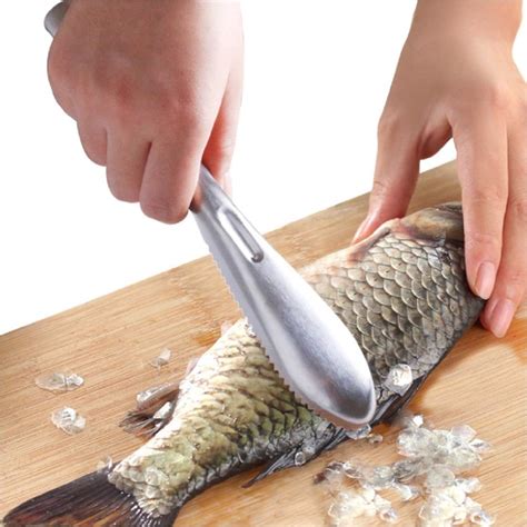 Buy Fish Scaler Brush Fish Scaler Remover with Stainless Steel Sawtooth ...