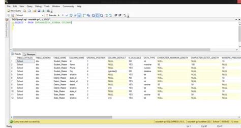 Image result for How to Query SQL Database for Schema Information