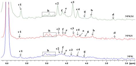 Accumulation of Labile P Forms and Promotion of Microbial Community ...