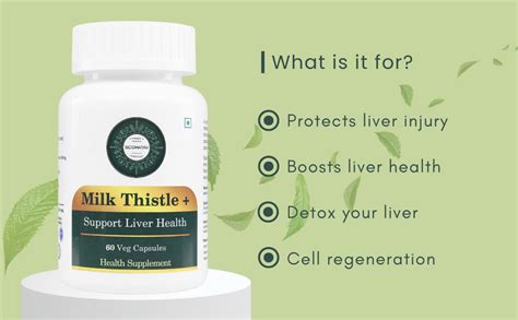 Siddhatav Milk Thistle Capsules for Liver, 60 Capsules | Milk Thistle ...