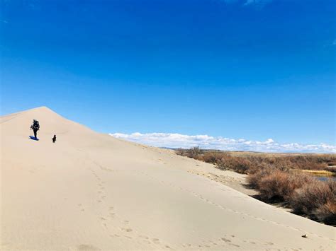 57 Fun Facts About Idaho That Will Amaze You - Live A Wilder Life