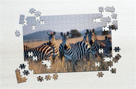 Image result for Zebra Puzzles